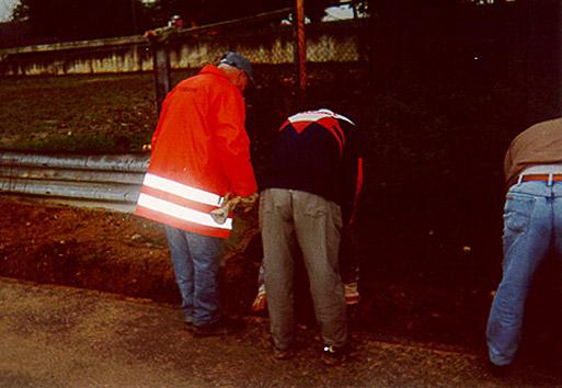 8A.jpg